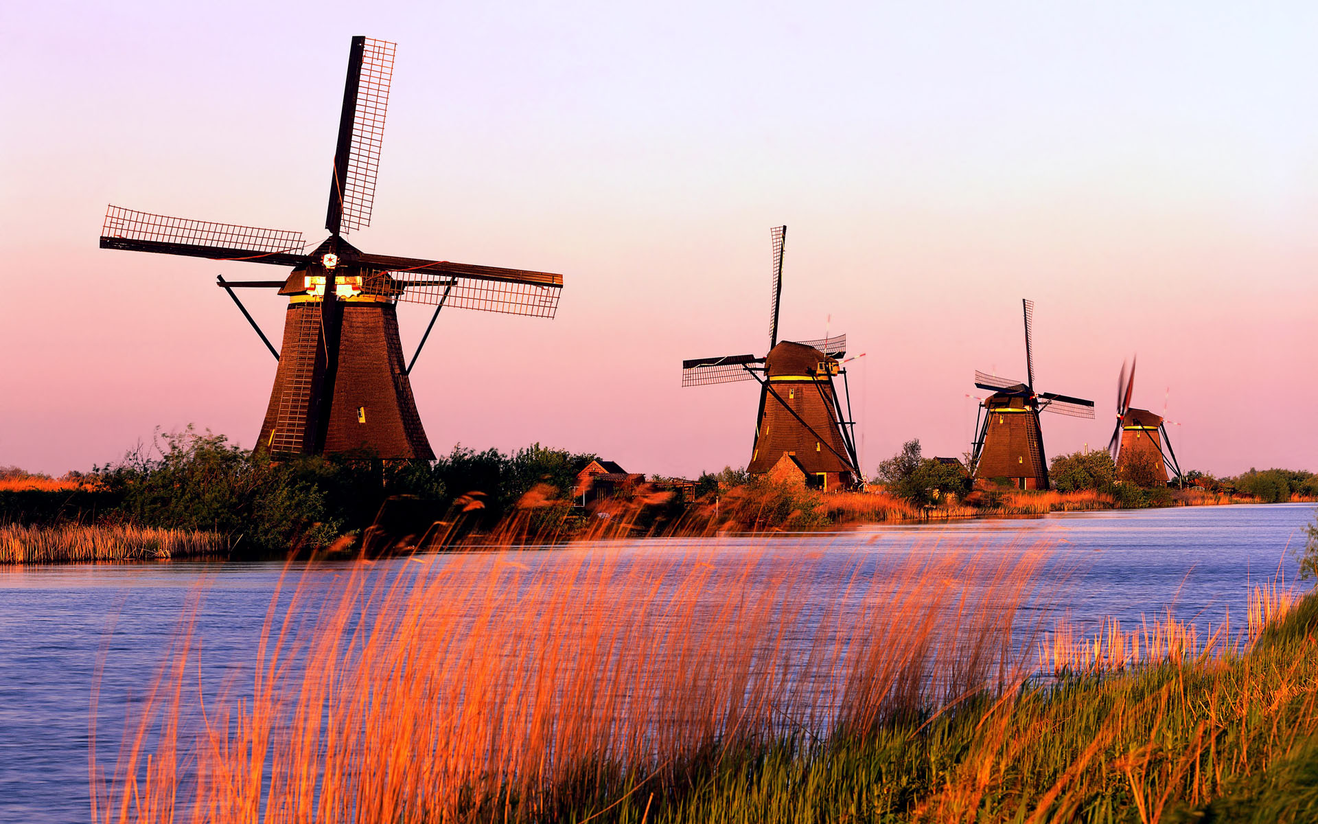 5 places you must see in the Netherlands - Aspiring Backpacker - Travel