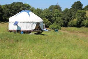 glamping devon glamping devon