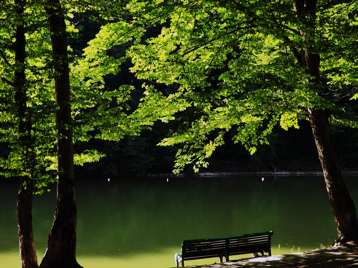 Parz-lake