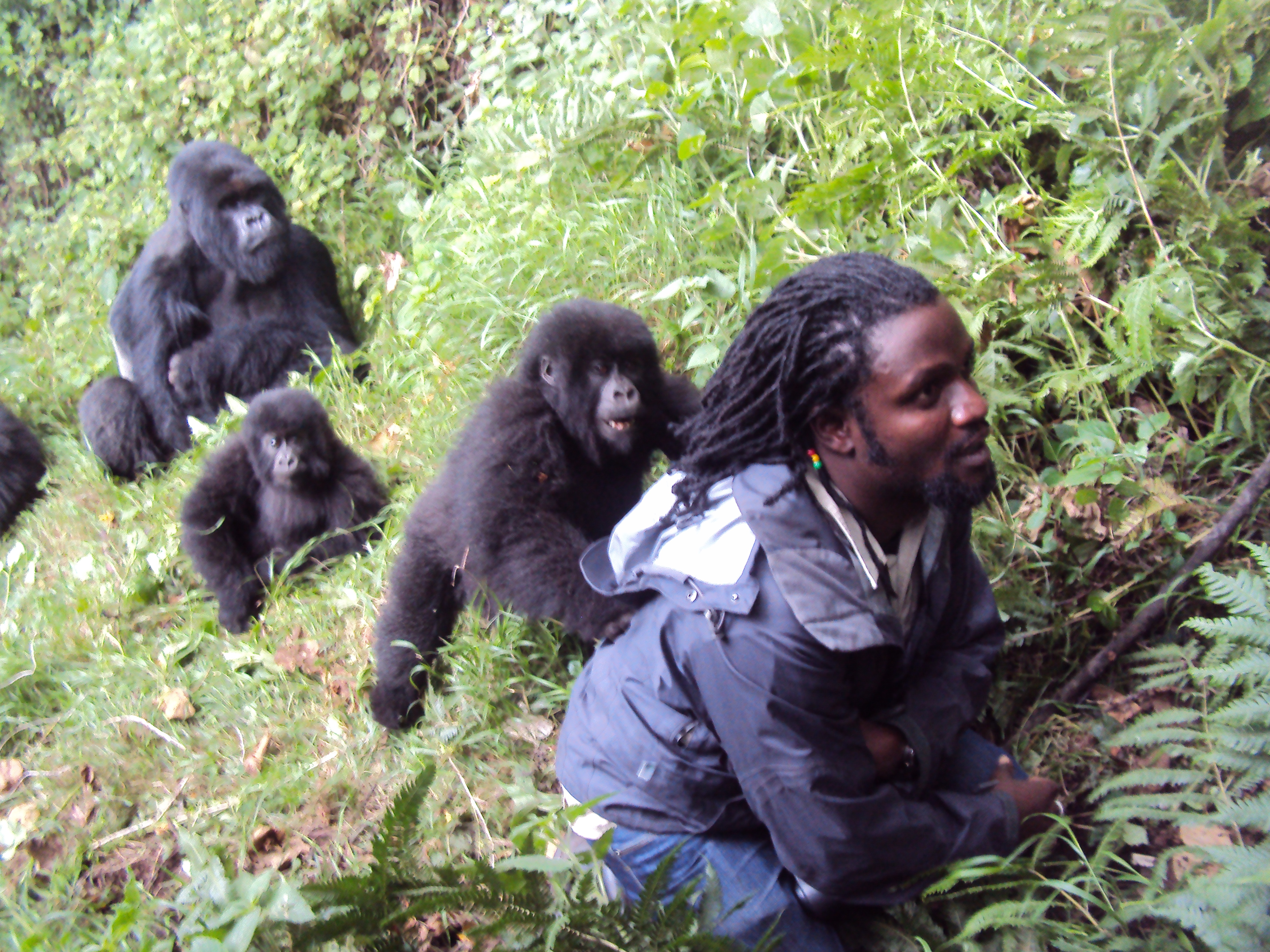 Gorilla Trekking en Ruanda